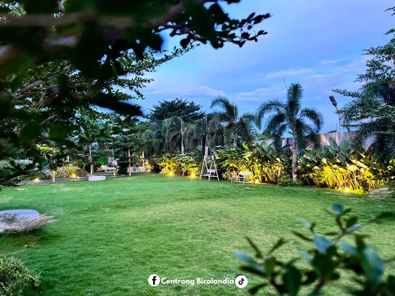 Garden Café Lawn and Garden